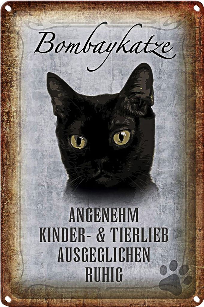 Blechschild Spruch 40x30cm Bombaykatze Katze