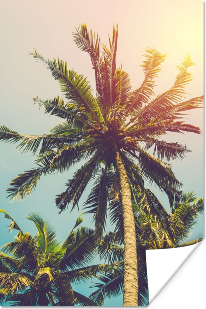 MuchoWow Poster Palme - Sommer - Tropisch - Sonne 120x180 cm - Kunstposter