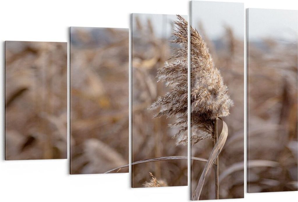 Bild auf Leinwand - Leinwandbild - 5 Teile - Boho Ähren Gras - 150x100cm - Wand Bild - Wanddeko - Wandbilder - Leinwanddruck - Bilder - Wanddekora...