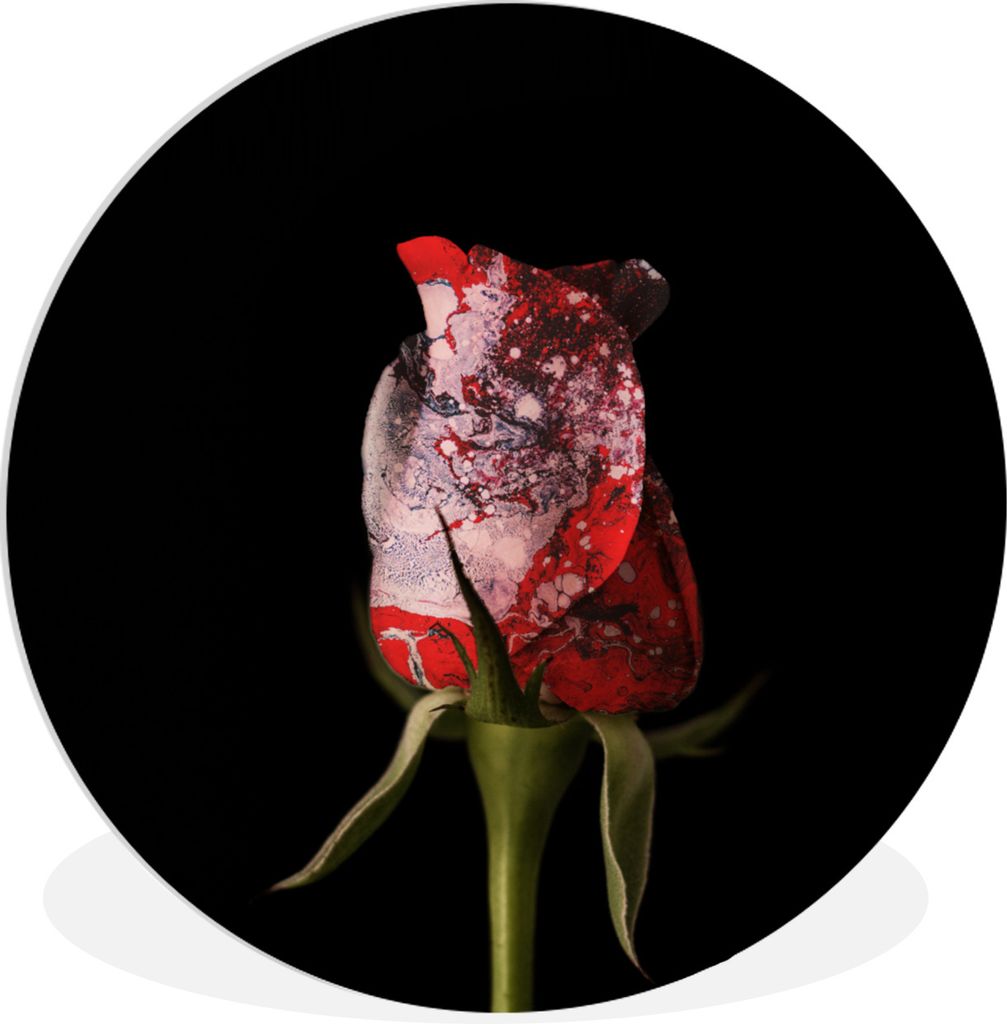 MuchoWow Rundes Wandbild - Runde Bilder Rosen - Blumen - Farbe Ø 30 cm Kreis Wanddekoration Kunststoff - Wandkreis - Wandschmuck - Schlafzimmer ...