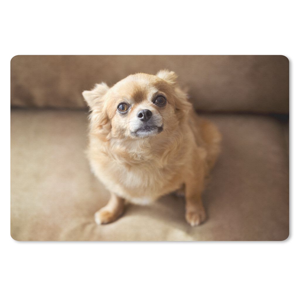 MuchoWow Mauspad Mousepad Ein süßer Chihuahua sitzt auf dem Sofa 27x18 cm - Mousepads - Maus Mat - Pad - Mausunterlage - Büroartikel - Desk Ma...