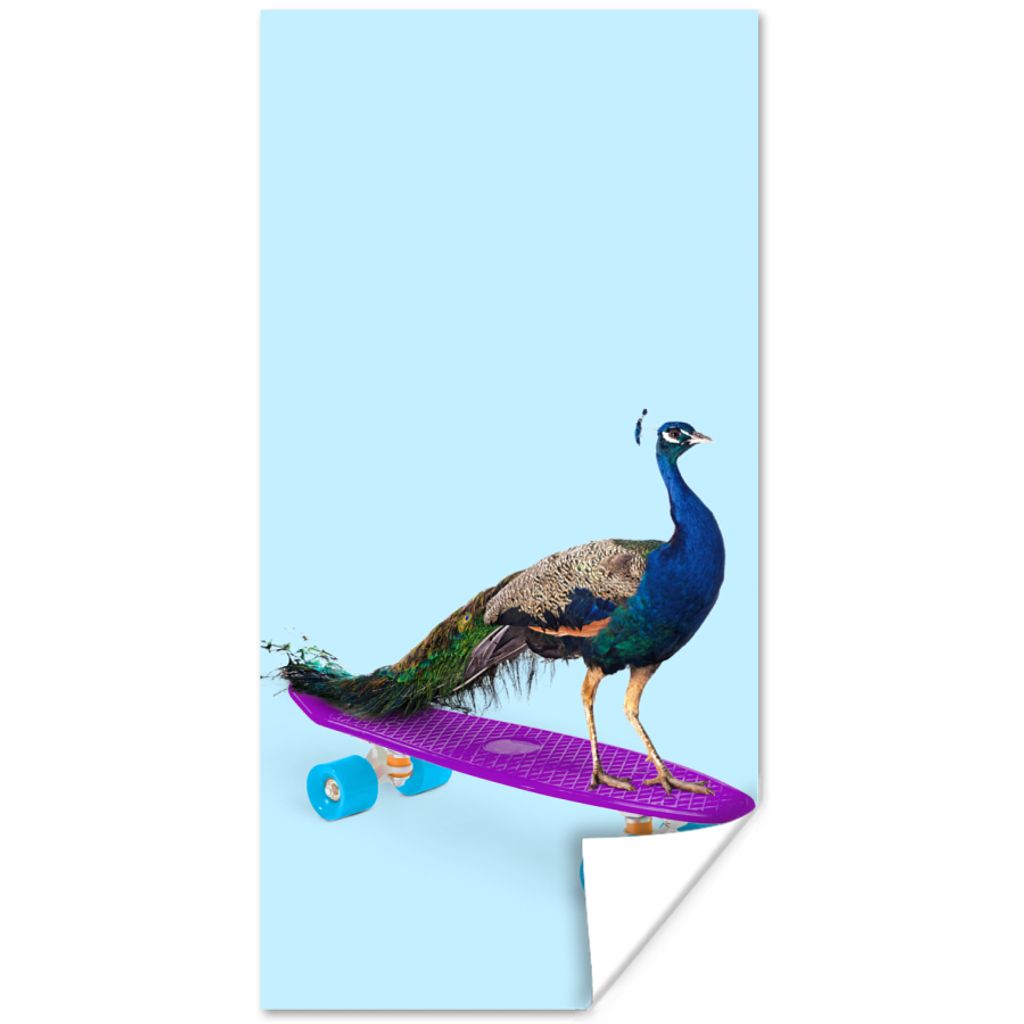 MuchoWow Poster Pfau - Blau - Skateboard - Tiere - Lustig 75x150 cm - Dekoration für die Wände