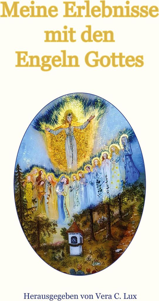 Meine Erlebnisse mit den Engeln Gottes von BoD Bo... Book