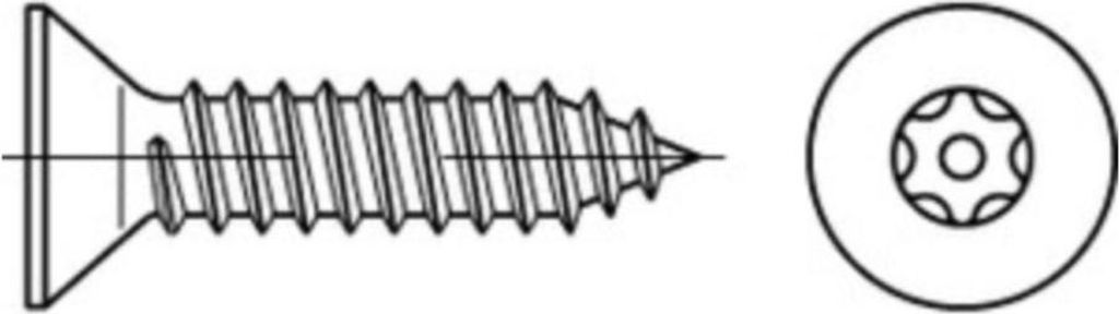 Reyher Sicherh.schr.(D7982) 88115, 4,2x19 PIN-ISR T20 A 2 (100 Stück)