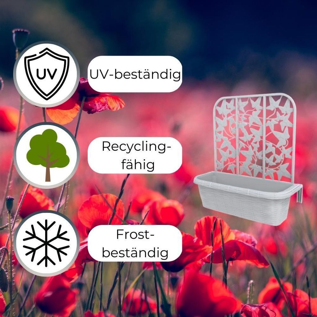 2x Balkonkasten mit Spalier für Kletterpflanzen Produktbild 3