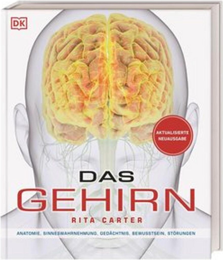 Das Gehirn
