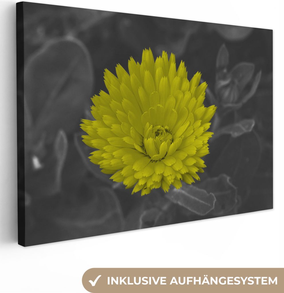 OneMillionCanvasses - Leinwandbilder - 150x100 cm, Blumen - Aquarell - Löwenzahn, Wandbilder Kunstdruck Wanddekoration