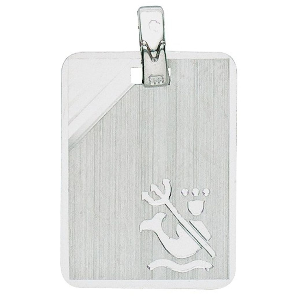 Basic Silber 24.9017SWM Herren Anhänger Sternzeichen Wassermann Silber
