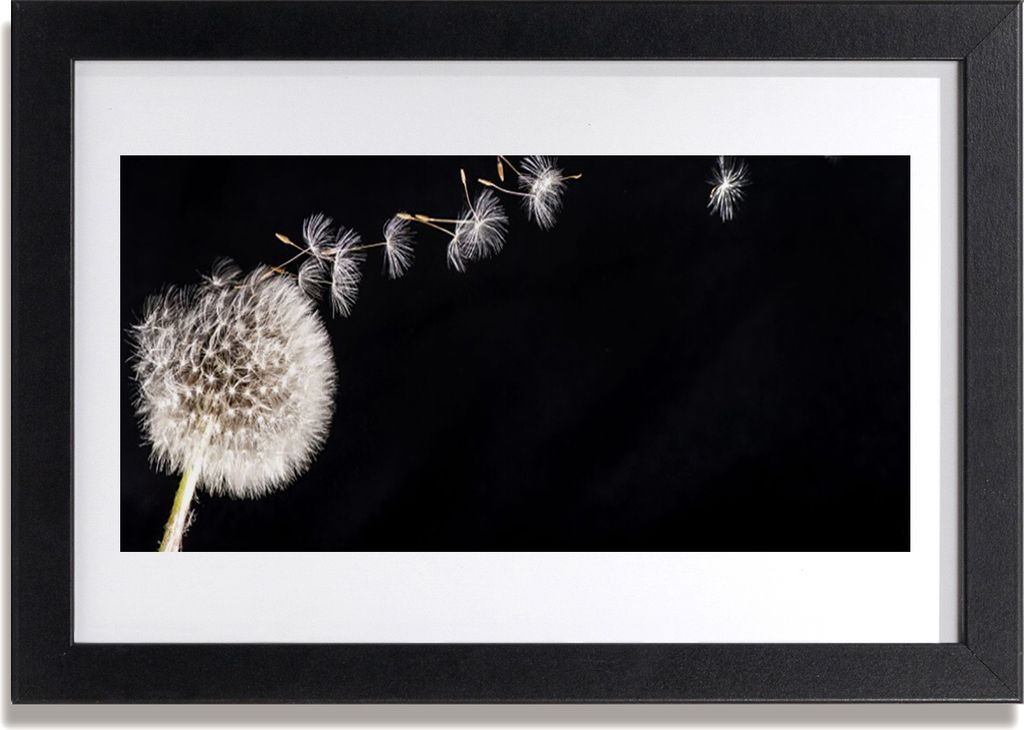 Bild 30x20 MDF-Rahmen Wandkunst Löwenzahn-Blumen-Anlage