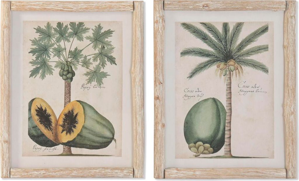 Bild Home ESPRIT Kristall Tanne 40 x 3,5 x 50 cm (2 Stück)