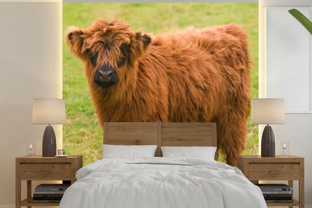 MuchoWow Fototapete für Wohnzimmer oder Schlafzimmer Wandtapete Vinyl Motivtapete Schottischer Highlander - Leicht - Mantel - 300x300 cm - Wandd...