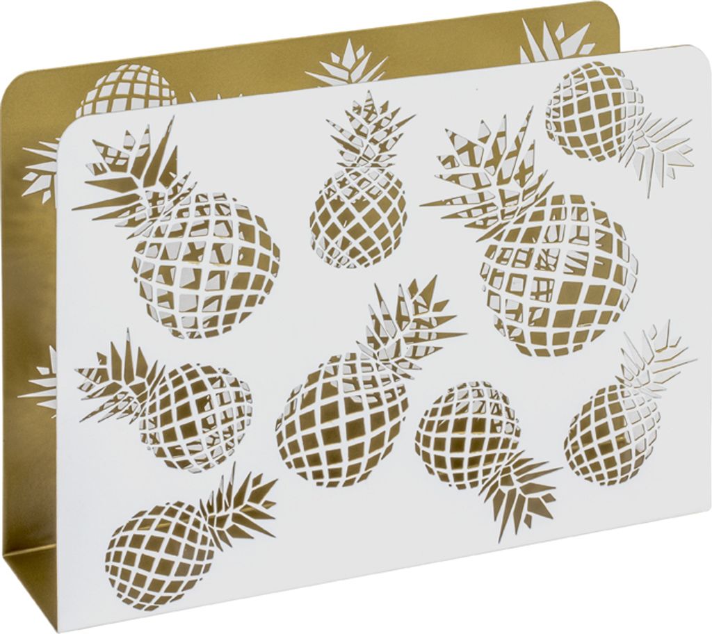 Prospektständer Zeitungs Zeitschriften Aufbewahrung Zeitungsständer "Ananas"