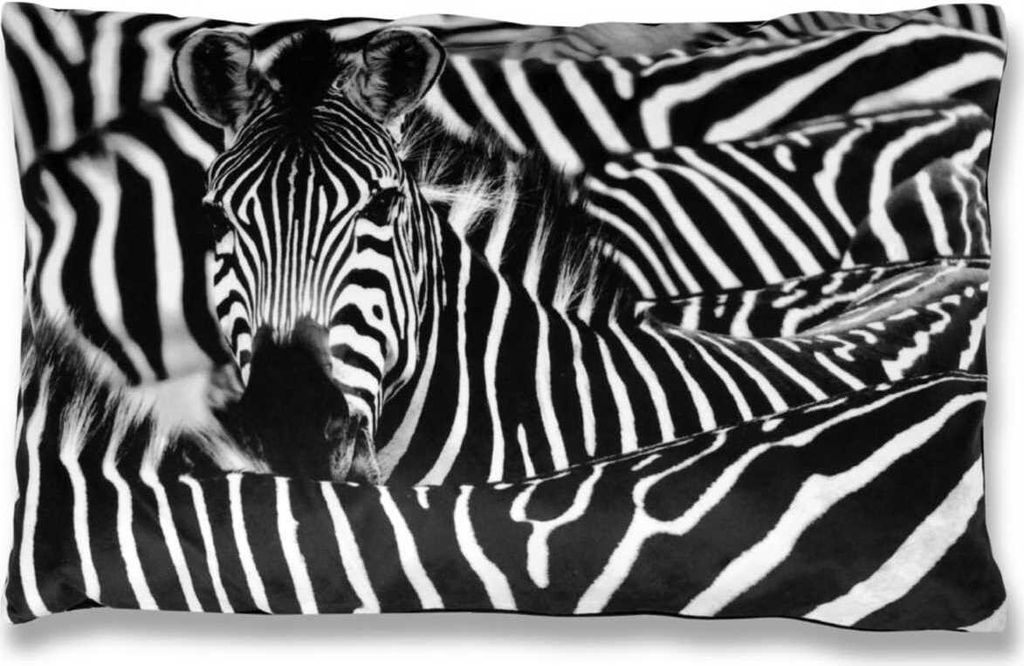 Kissenbezug Fotodruck Motiv in 40x60 cm, Flauschig weiche Kissenhülle ohne Füllung, Motiv: Zebra