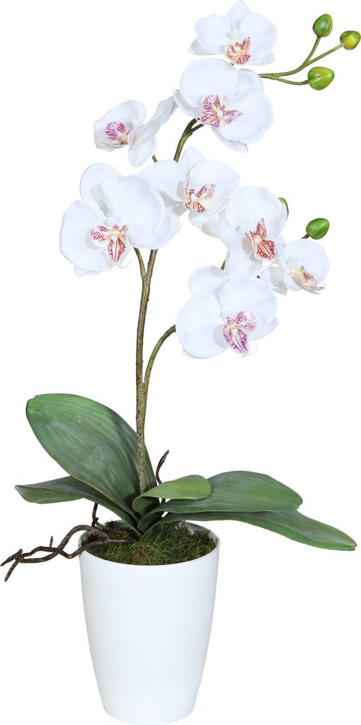 1x Kunstpflanze Phalenopsis x 2,creme Deko, Blume