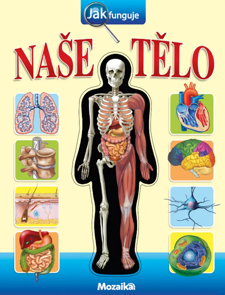 Encyclopédie illustrée du corps humain Jak funguje naše tělo enfant