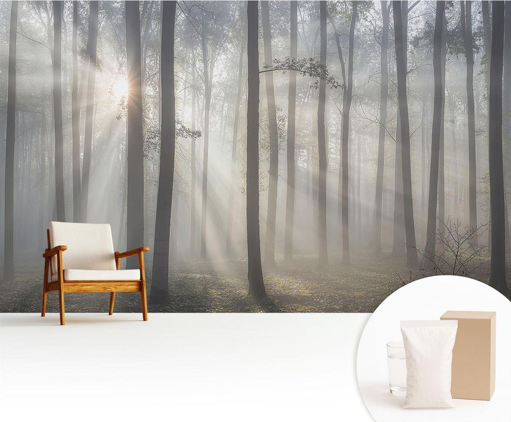 Fototapete - 416x254 cm - Tapete - Wandtapete - Wandbilder - Dekofolie - Tapete Folie - Wand - Dekoration - Wohnzimmer - Ätherischer Wald