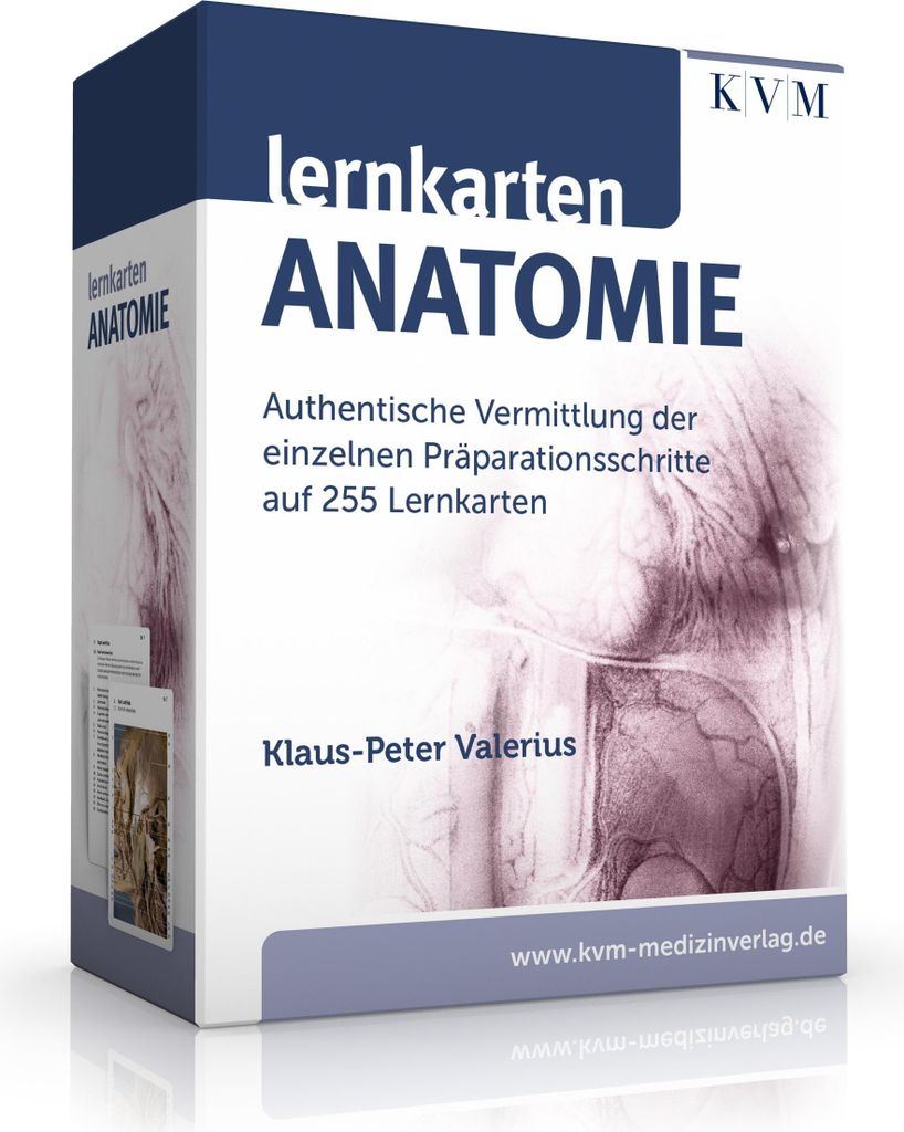 Lernkarten Anatomie Produktbild 