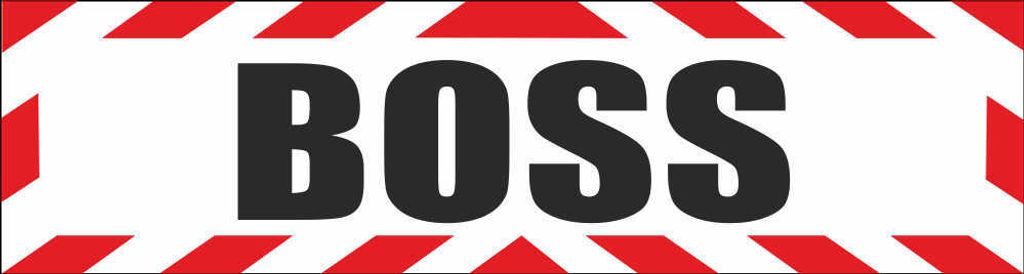 INDIGOS UG - Magnetschild "Boss Chef Arbeitgeber Fahrzeug Bundeswehr Firma Club Offizier Führer" mit Rahmen 30 x 8 cm reflektierend - Magnetfolie ...