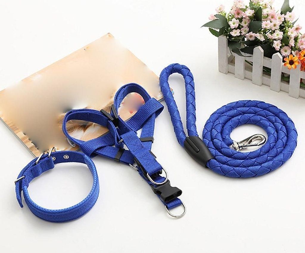 Leine + Geschirr + Halsband Easy Blue 2XL