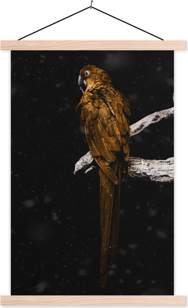 MuchoWow Textilposter Papagei - Vogel - Gold 60x90 cm mit holzfarbenen Rahmen - Textil