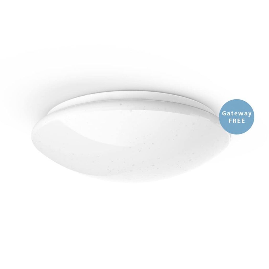 A white, round ceiling light with a speckled effect is shown against a white background.
