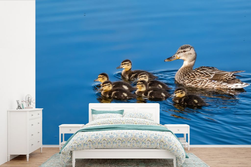MuchoWow Fototapete für Wohnzimmer oder Schlafzimmer Wandtapete Vinyl Motivtapete Ente - Wasser - Vogel - Braun - 450x300 cm - Gemusterte