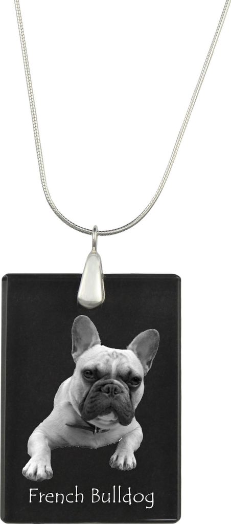 Französische Bulldogge - Kristallanhänger mit Hund, Silberhalskette mit Foto, personalisierter Anhänger der Marke Art-Dog