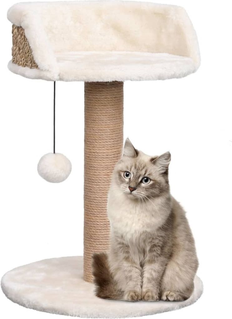 "2026 Promotion" Katzenbaum mit Kratzsäule 49 cm Seegras - Kratzbäume CC1913