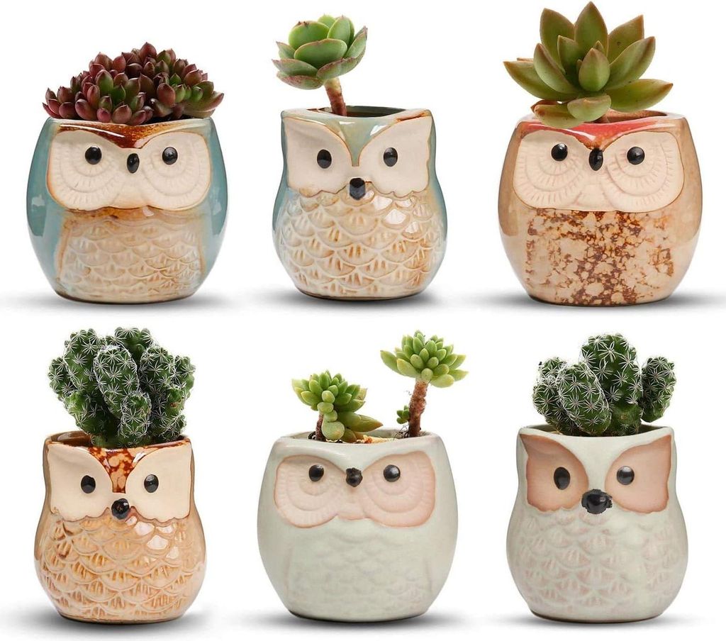 Keramische Töpfe Set von 6 für Kakteen und Blumen - Dekorative Blumentöpfe für Mini-Gärten und Terrarien