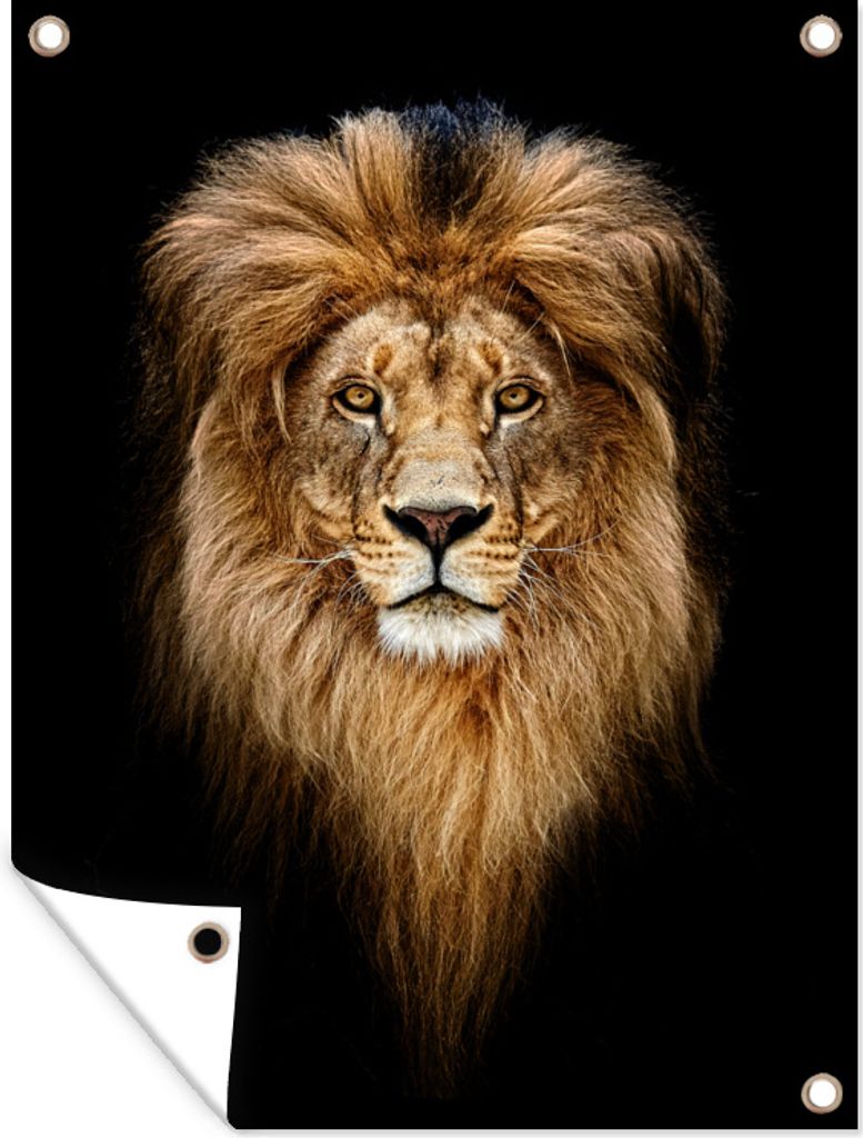MuchoWow 60x80 cm Outdoor-Poster Gartendeko Sichtschutz Garten Poster für den Garten Löwen - Porträt - Farben