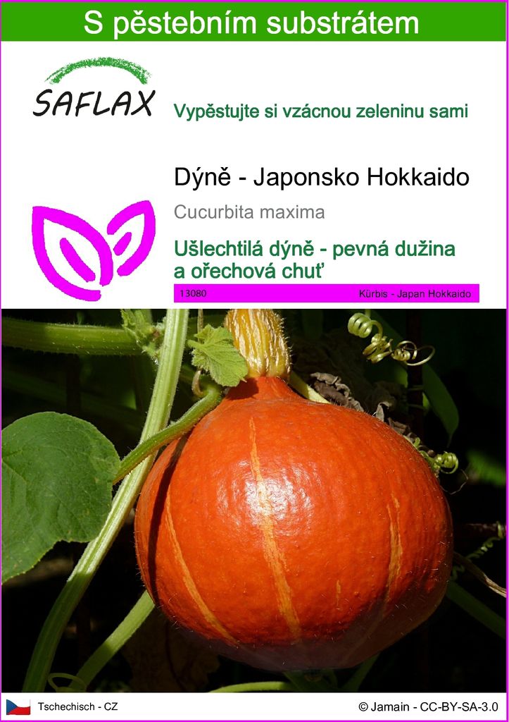 SAFLAX - Dýně - Japonsko Hokkaido - Cucurbita maxima - 10 Obrázek produktu 