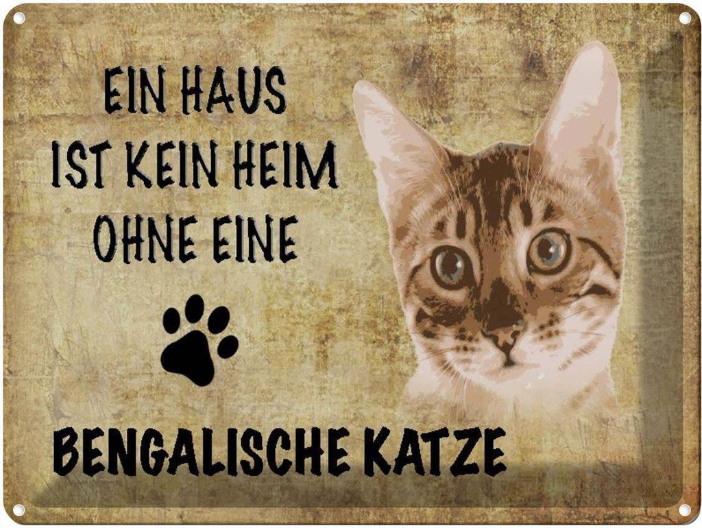 vianmo Blechschild 30x40 cm Bengalische Katze