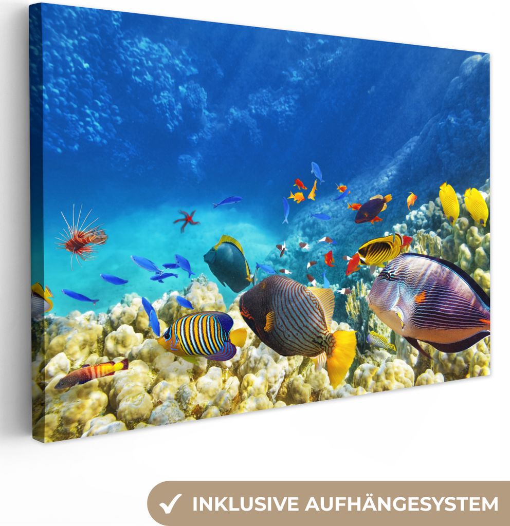 OneMillionCanvasses - Leinwandbilder - 150x100 cm, Meer - Fische - Korallen - Unterwasserwelt, Wandbilder Kunstdruck Wanddekoration