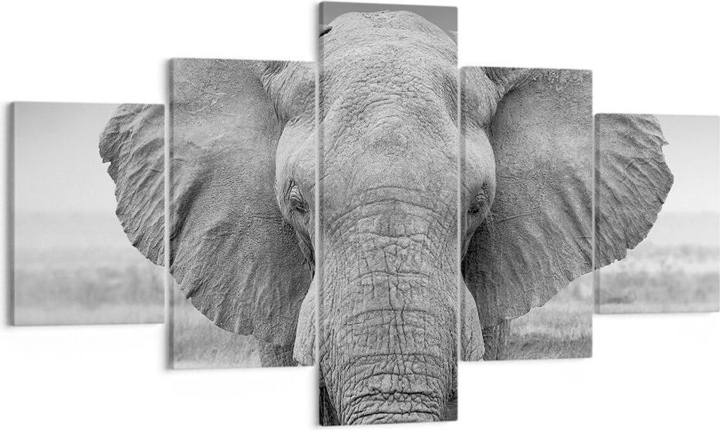 Bild auf Leinwand - Leinwandbild - 5 Teile - Elefant Afrika Tier - 125x70cm - Wand Bild - Wanddeko - Wandbilder - Leinwanddruck - Bilder - Wanddeko...