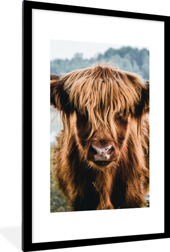 MuchoWow Gerahmtes Poster Kühe - Schottische Hochlandbewohner - Braun - Natur 60x90 cm - Poster mit Schwarzem Bilderrahmen Wandposter Rahmen Fot...
