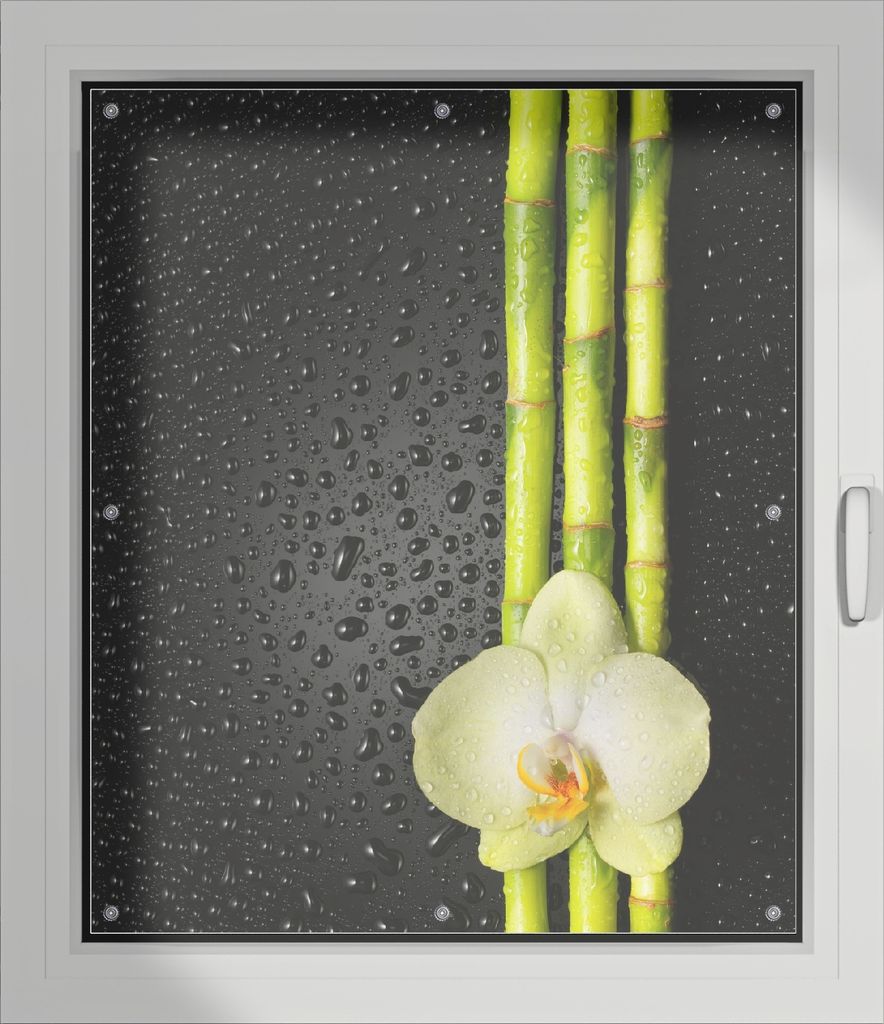 Wallario Lichtschutzbild, Dekorativer Sichtschutz Sonnenschutz 96 x 115 cm mit Motiv: Grüne Orchidee mit Bambus auf schwarz - Regentropfen - Verdu...