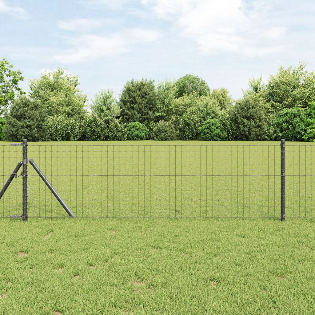 Desgin Euro-Zaun Grau 0.8x25 m Stahl - Metallzäune 42004516