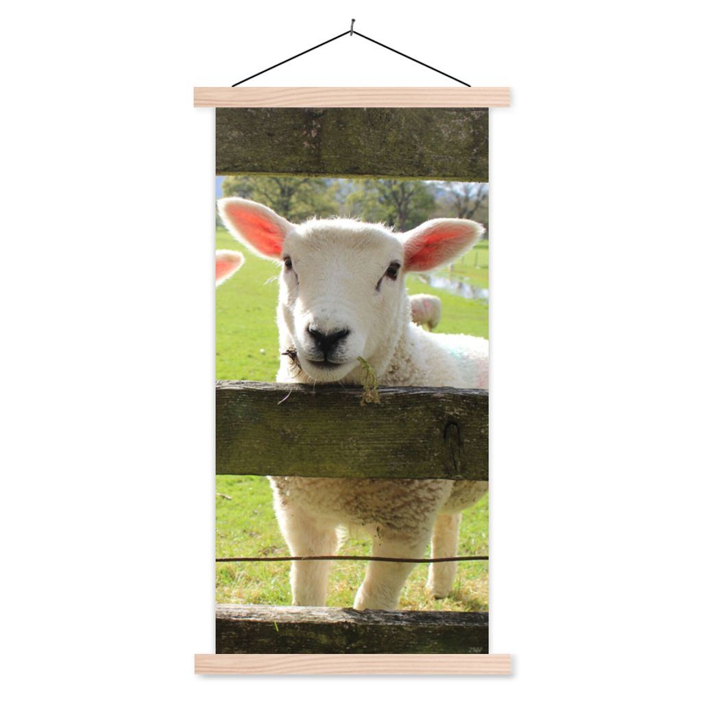 MuchoWow Textilposter Schafe - Tiere - Bauernhof 60x120 cm mit holzfarbenen Rahmen - Holz
