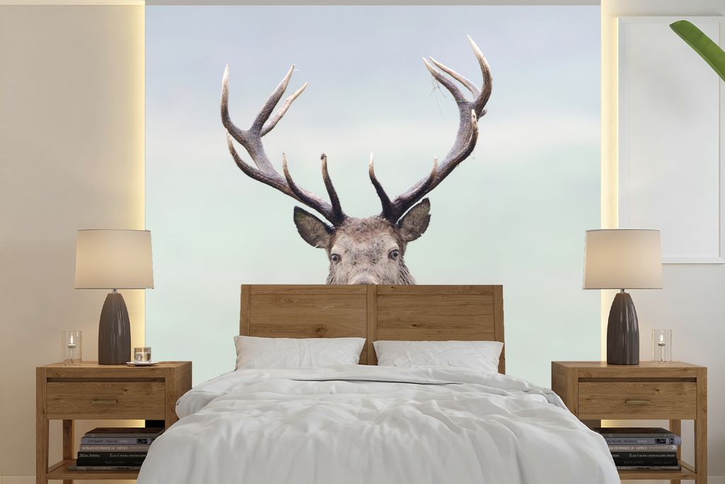 MuchoWow Fototapete für Wohnzimmer oder Schlafzimmer Wandtapete Vinyl Motivtapete Hirsche - Gras - Himmel - 300x300 cm - Wanddekoration