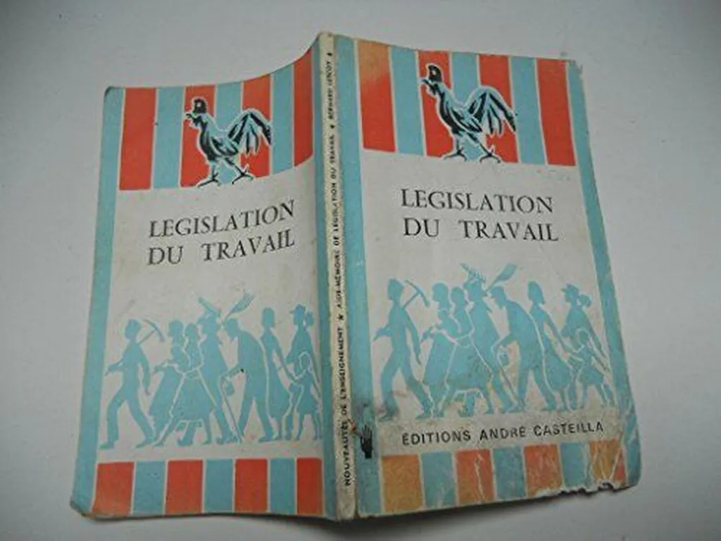 Législation du travail : Maîtriser le droit social et les contrats pro