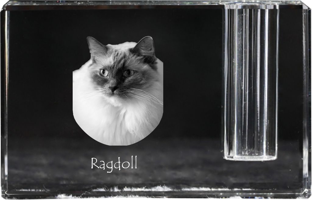 Ragdoll - Stifthalter, Kristallorganizer mit Katzenfoto, einzigartige Schreibtischdekoration der Marke Art-Dog
