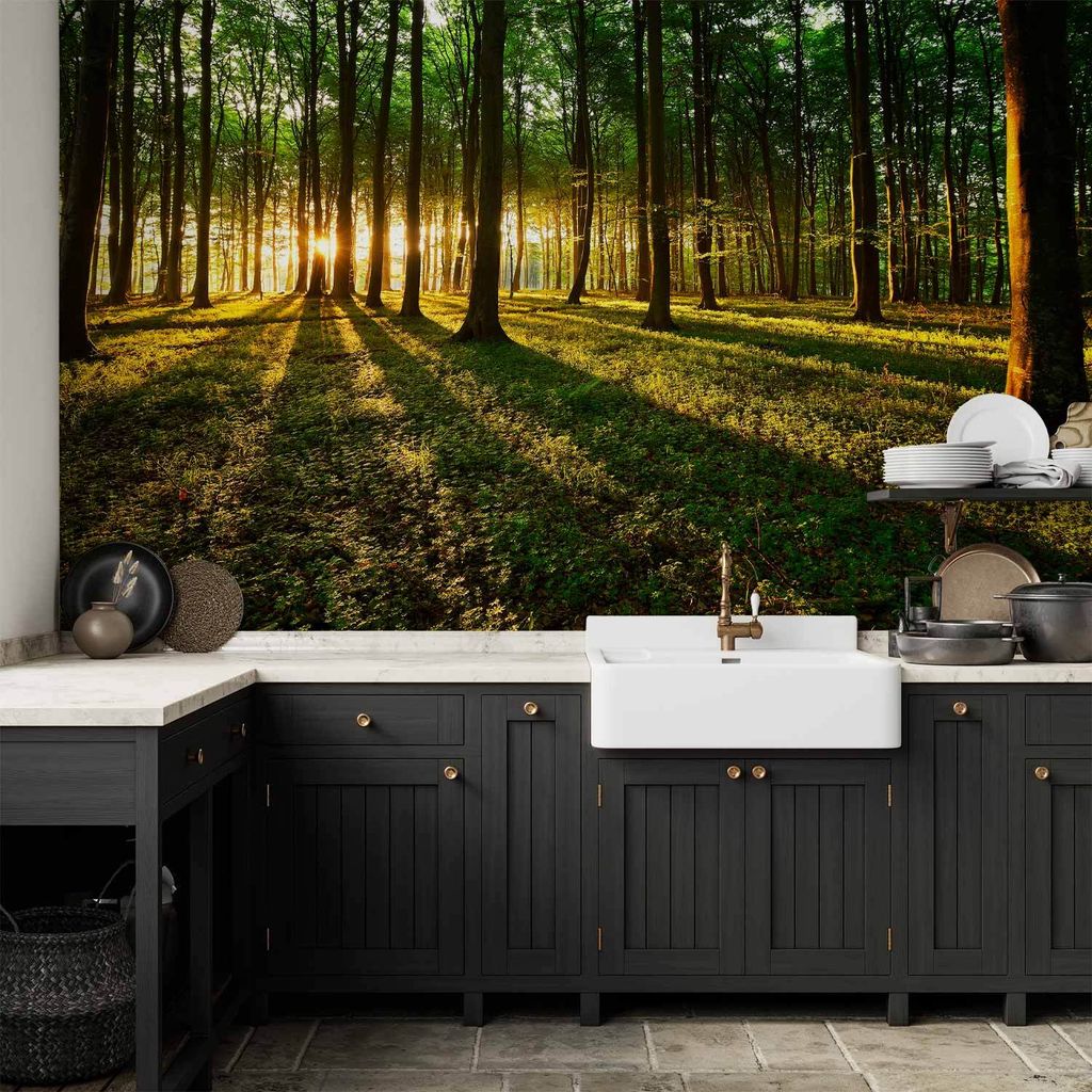 Vlies Fototapete - Spring: Morning in the Forest 350x245 cm Landschaften c-B-0027-a-b