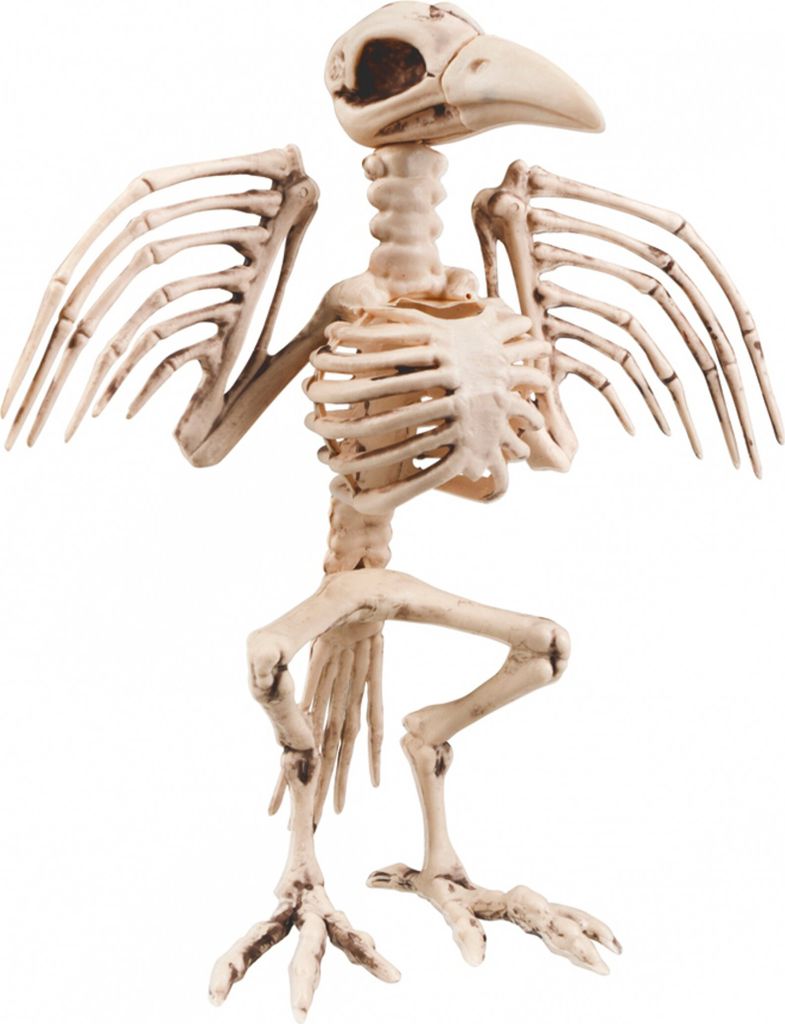 Halloweendecoratie: Skelet Kraai (32cm)