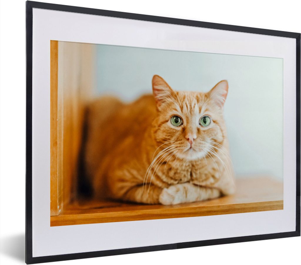 MuchoWow MuchoWow Gerahmtes Poster Katze - Holz - Schrank 40x30 cm - Poster mit zchwarzem Bilderrahmen - Bilderrahmen - Poster im Rahmen