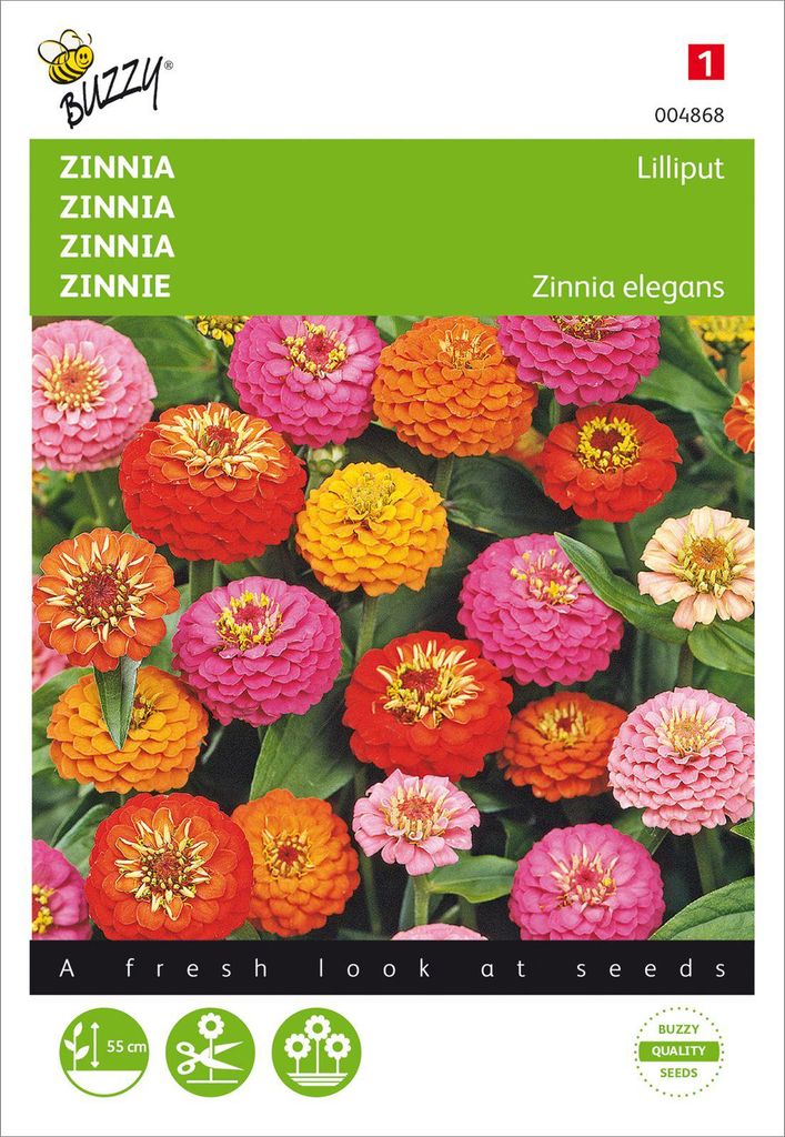 Zinnie Lilliput Mischung | Zinniensamen von Buzzy Seeds