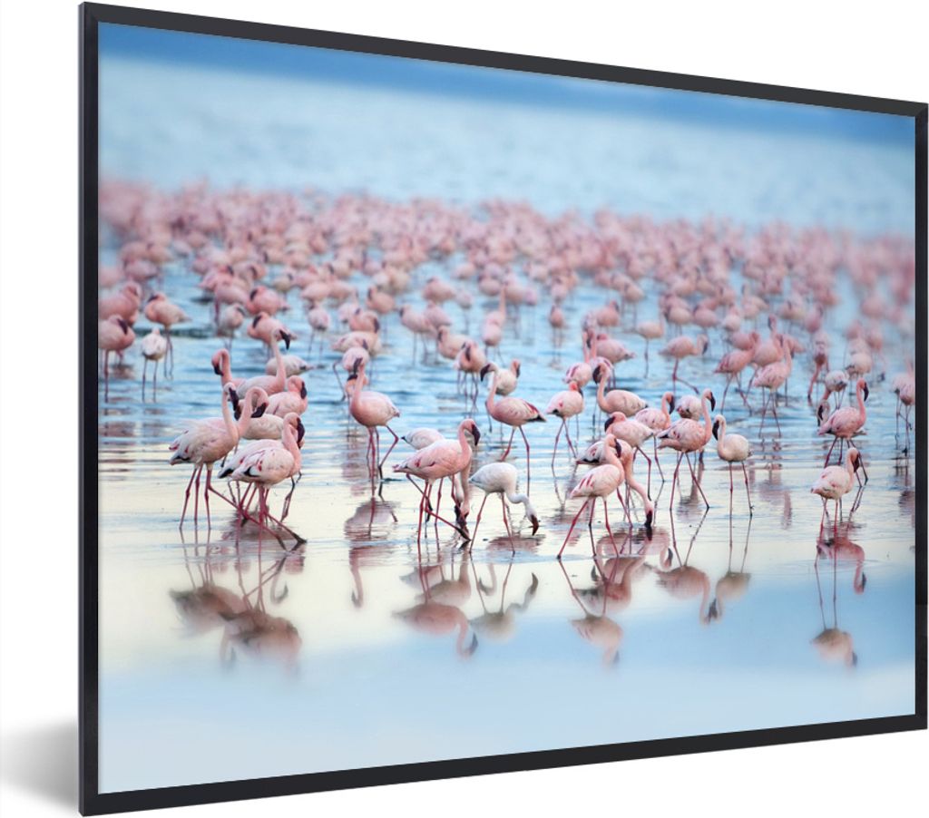 MuchoWow MuchoWow Gerahmtes Poster Flamingoschwärme am Nakurusee in Kenia 40x30 cm - Poster mit zchwarzem Bilderrahmen - Kunstposter - Wanddek...