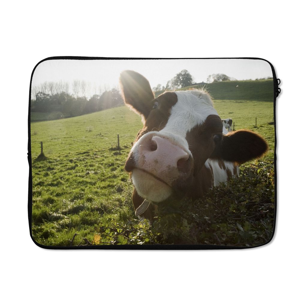 MuchoWow Laptop Hülle 15 Zoll Kuh - Licht - Landschaft Laptoptasche - Laptoptasche - Sleeve - Rundum-Schutz