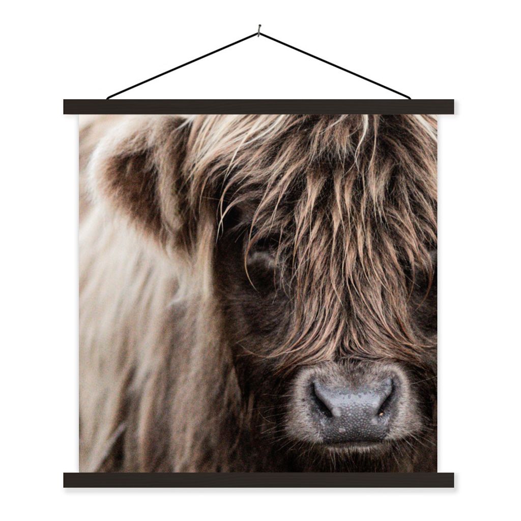 MuchoWow Textilposter Schottischer Highlander - Schottische Kuh 40x40 cm mit schwarzem Rahmen - Fotos
