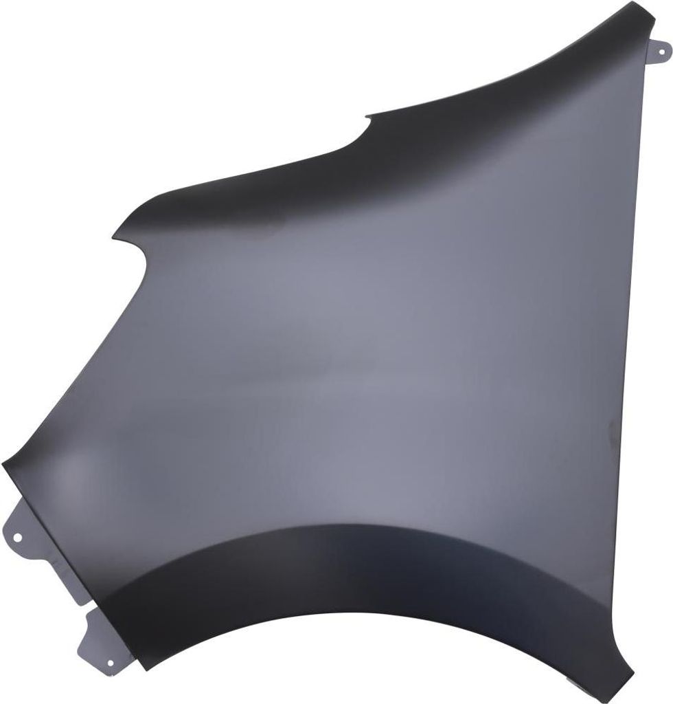 DIEDERICHS 4487207 Aile gauche pour RENAULT MASTER III Bus Image du produit 