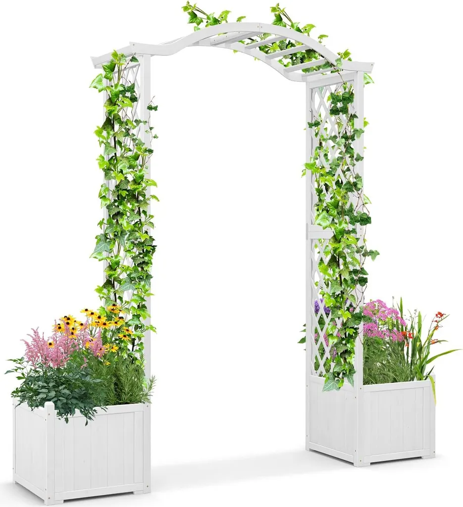 Arche de Porte 2 en 1 en Bois avec Treillis pour Plantes Grimpantes
